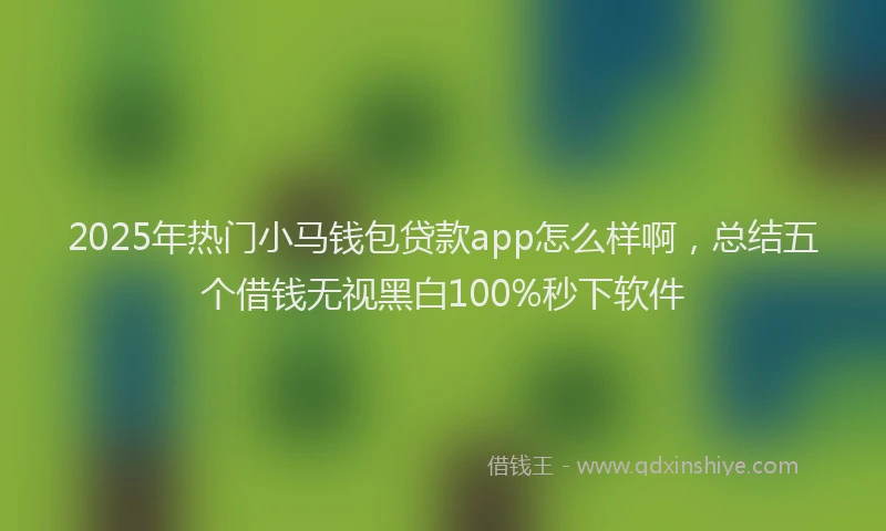 2025年热门小马钱包贷款app怎么样啊，总结五个借钱无视黑白100%秒下软件