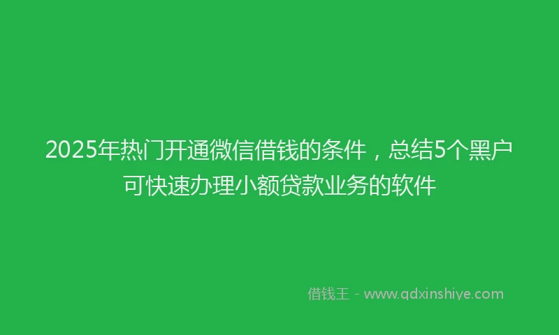 2025年热门开通微信借钱的条件，总结5个黑户可快速办理小额贷款业务的软件