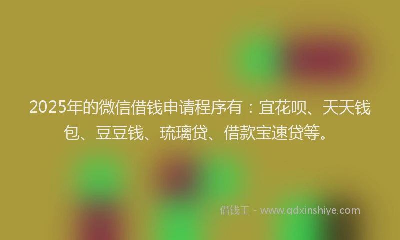 2025年的微信借钱申请程序有：宜花呗、天天钱包、豆豆钱、琉璃贷、借款宝速贷等。