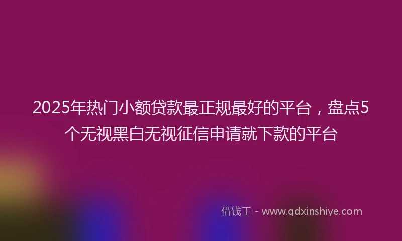 2025年热门小额贷款最正规最好的平台，盘点5个无视黑白无视征信申请就下款的平台