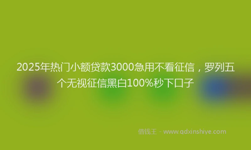 2025年热门小额贷款3000急用不看征信，罗列五个无视征信黑白100%秒下口子