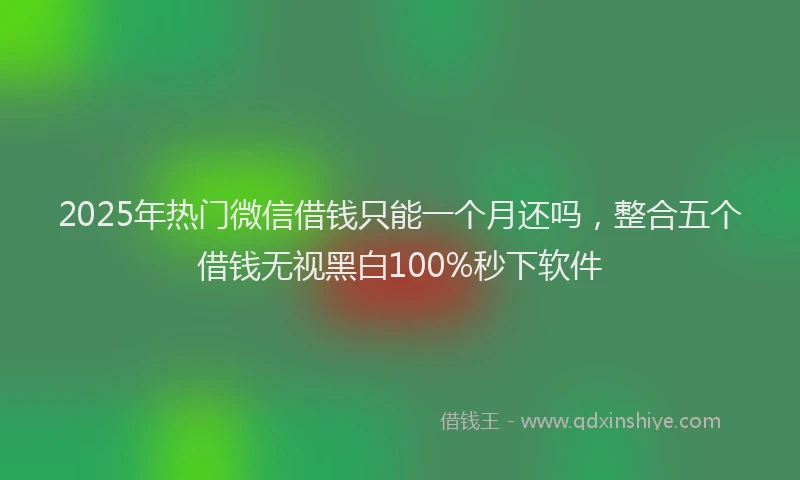 2025年热门微信借钱只能一个月还吗，整合五个借钱无视黑白100%秒下软件