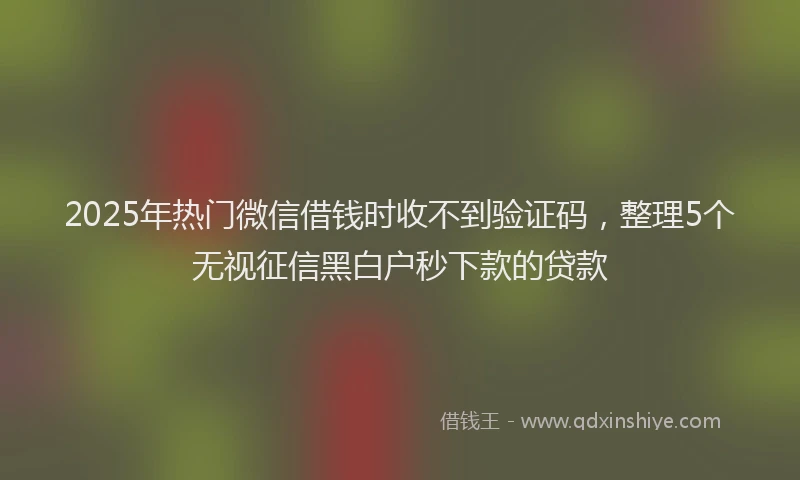 2025年热门微信借钱时收不到验证码，整理5个无视征信黑白户秒下款的贷款