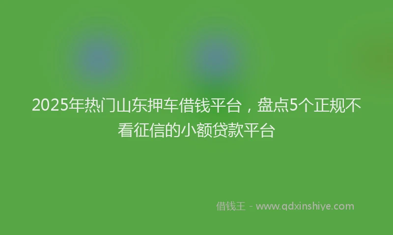 2025年热门山东押车借钱平台，盘点5个正规不看征信的小额贷款平台