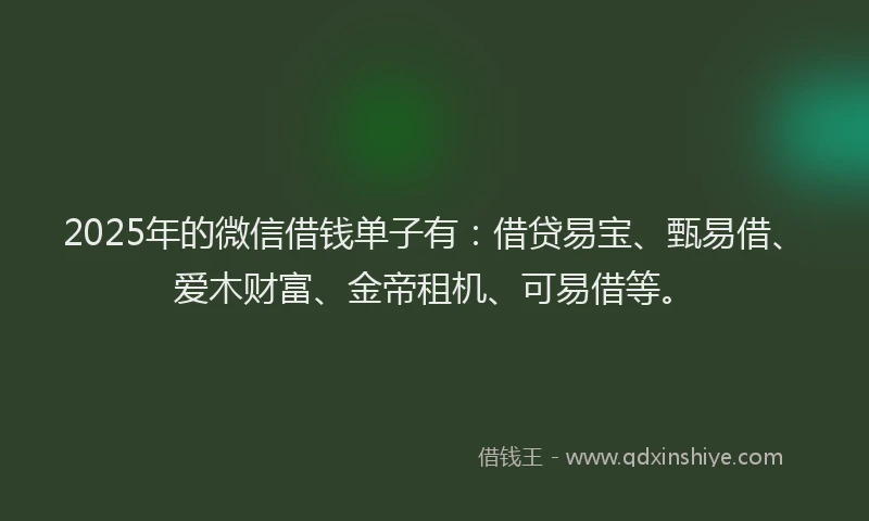 2025年的微信借钱单子有：借贷易宝、甄易借、爱木财富、金帝租机、可易借等。