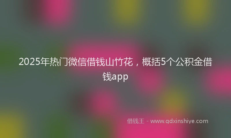 2025年热门微信借钱山竹花，概括5个公积金借钱app