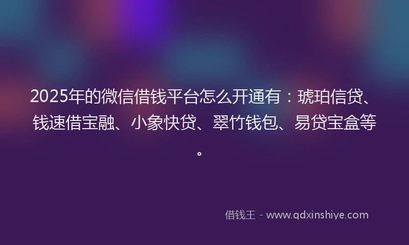 2025年的微信借钱平台怎么开通有：琥珀信贷、钱速借宝融、小象快贷、翠竹钱包、易贷宝盒等。