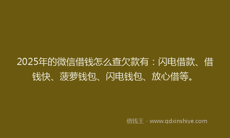 2025年的微信借钱怎么查欠款有：闪电借款、借钱快、菠萝钱包、闪电钱包、放心借等。