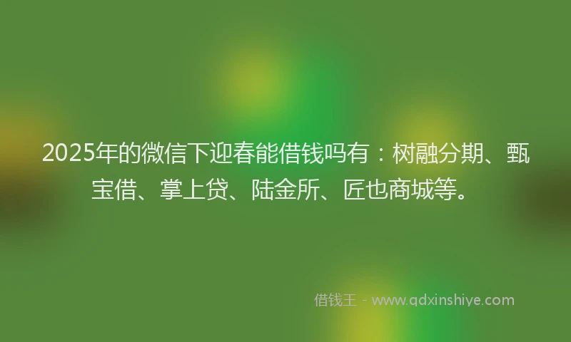 2025年的微信下迎春能借钱吗有：树融分期、甄宝借、掌上贷、陆金所、匠也商城等。