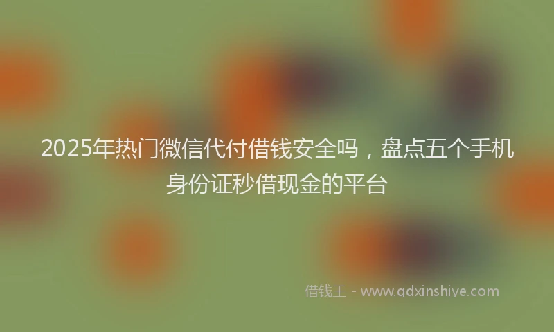 2025年热门微信代付借钱安全吗，盘点五个手机身份证秒借现金的平台
