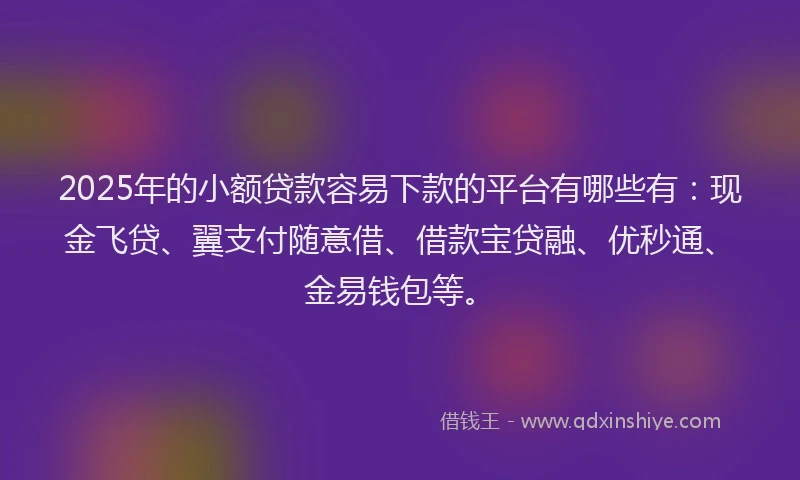 2025年的小额贷款容易下款的平台有哪些有：现金飞贷、翼支付随意借、借款宝贷融、优秒通、金易钱包等。