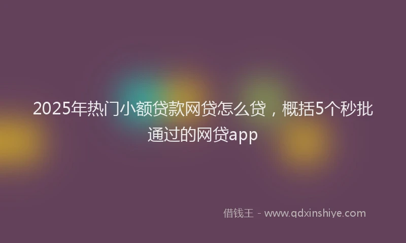2025年热门小额贷款网贷怎么贷，概括5个秒批通过的网贷app