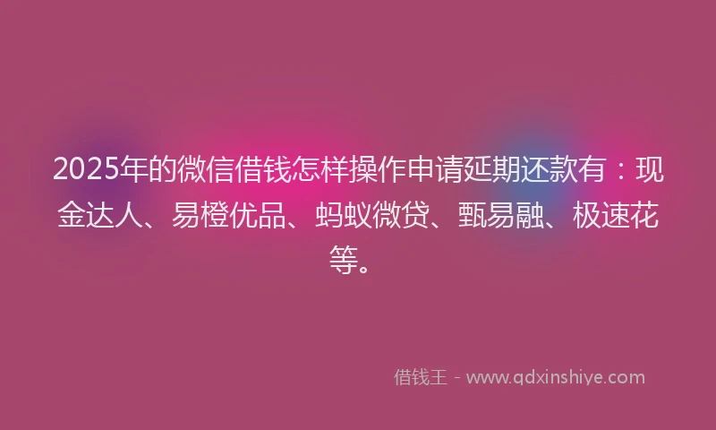 2025年的微信借钱怎样操作申请延期还款有：现金达人、易橙优品、蚂蚁微贷、甄易融、极速花等。