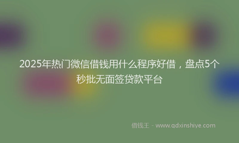 2025年热门微信借钱用什么程序好借，盘点5个秒批无面签贷款平台