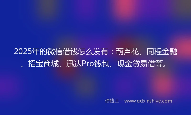 2025年的微信借钱怎么发有：葫芦花、同程金融、招宝商城、迅达Pro钱包、现金贷易借等。