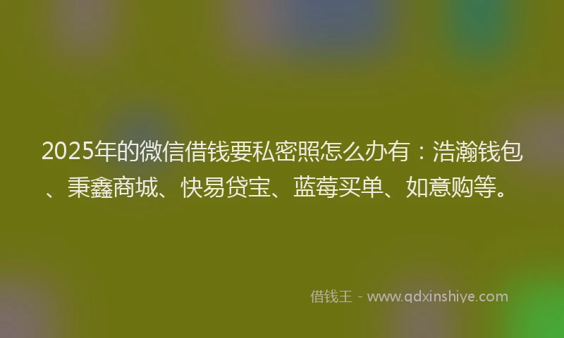 2025年的微信借钱要私密照怎么办有：浩瀚钱包、秉鑫商城、快易贷宝、蓝莓买单、如意购等。