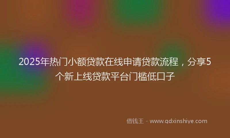 2025年热门小额贷款在线申请贷款流程，分享5个新上线贷款平台门槛低口子
