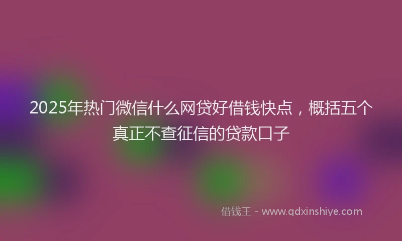 2025年热门微信什么网贷好借钱快点，概括五个真正不查征信的贷款口子