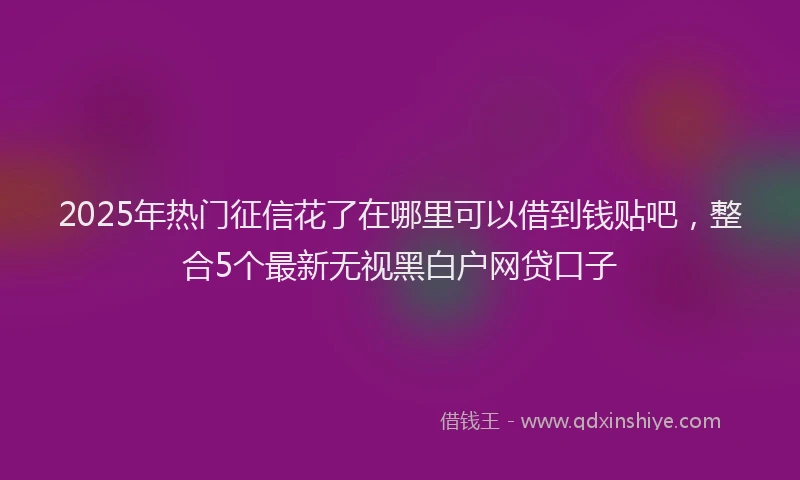 2025年热门征信花了在哪里可以借到钱贴吧，整合5个最新无视黑白户网贷口子