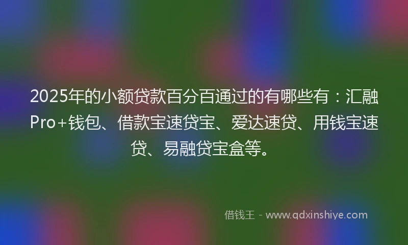 2025年的小额贷款百分百通过的有哪些有：汇融Pro+钱包、借款宝速贷宝、爱达速贷、用钱宝速贷、易融贷宝盒等。