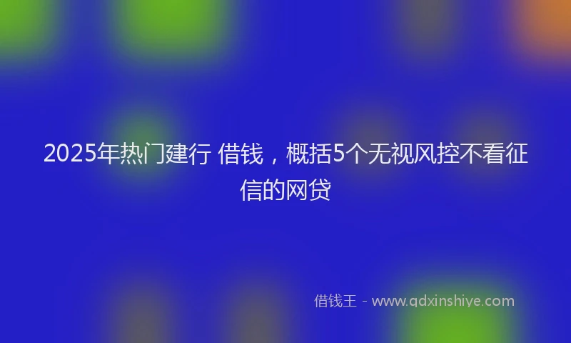 2025年热门建行 借钱，概括5个无视风控不看征信的网贷