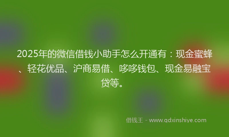 2025年的微信借钱小助手怎么开通有：现金蜜蜂、轻花优品、沪商易借、哆哆钱包、现金易融宝贷等。