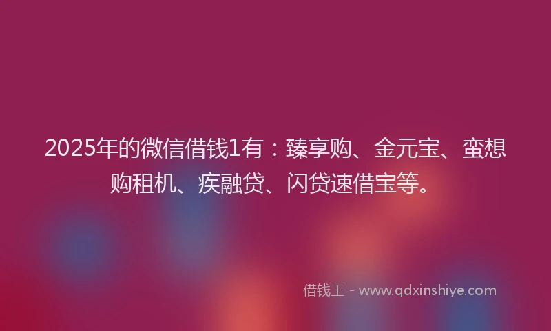 2025年的微信借钱1有：臻享购、金元宝、蛮想购租机、疾融贷、闪贷速借宝等。