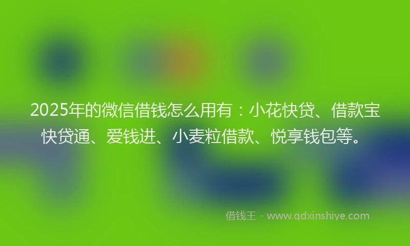 2025年的微信借钱怎么用有：小花快贷、借款宝快贷通、爱钱进、小麦粒借款、悦享钱包等。