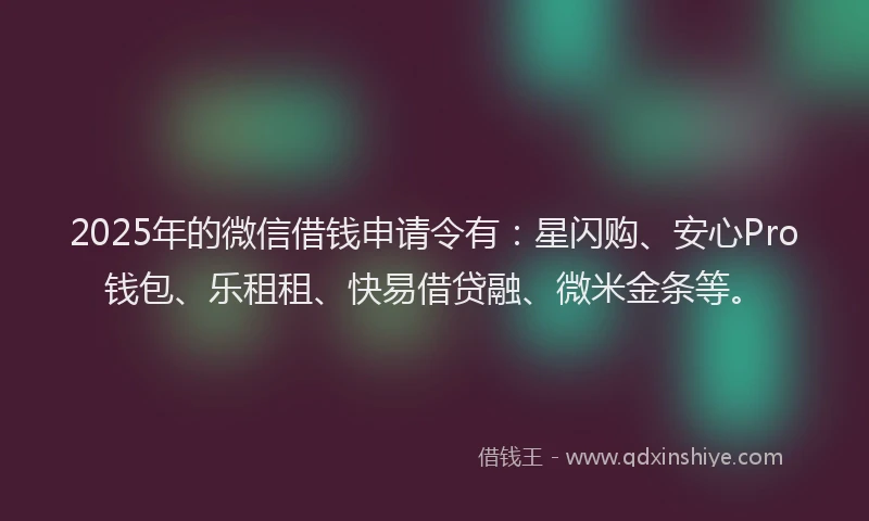 2025年的微信借钱申请令有：星闪购、安心Pro钱包、乐租租、快易借贷融、微米金条等。