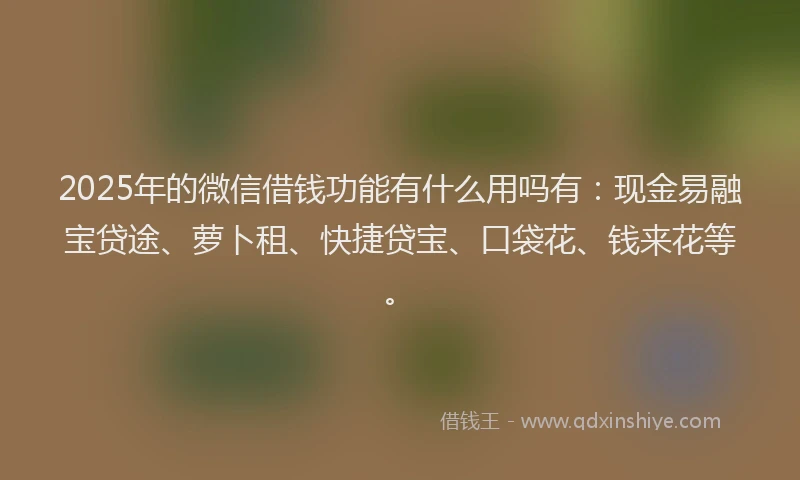 2025年的微信借钱功能有什么用吗有：现金易融宝贷途、萝卜租、快捷贷宝、口袋花、钱来花等。