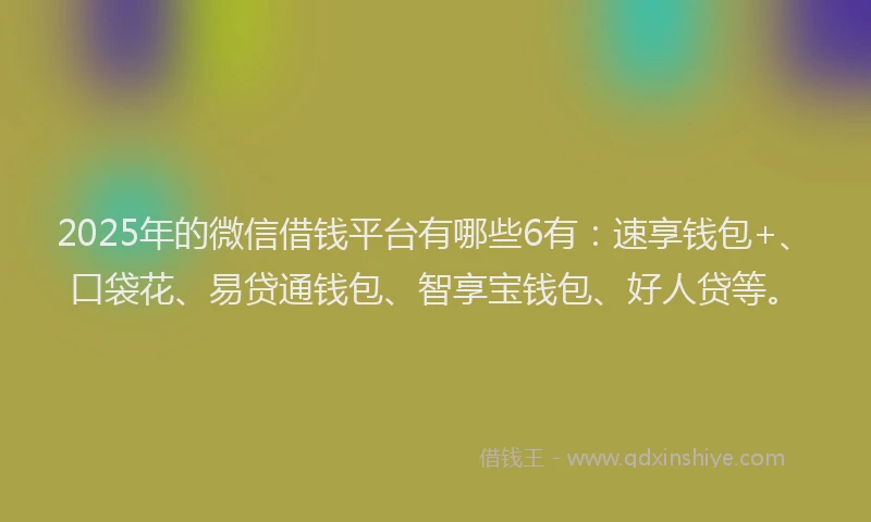 2025年的微信借钱平台有哪些6有：速享钱包+、口袋花、易贷通钱包、智享宝钱包、好人贷等。