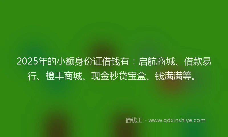 2025年的小额身份证借钱有：启航商城、借款易行、橙丰商城、现金秒贷宝盒、钱满满等。