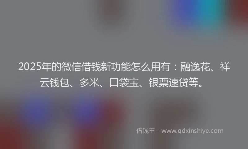2025年的微信借钱新功能怎么用有：融逸花、祥云钱包、多米、口袋宝、银票速贷等。