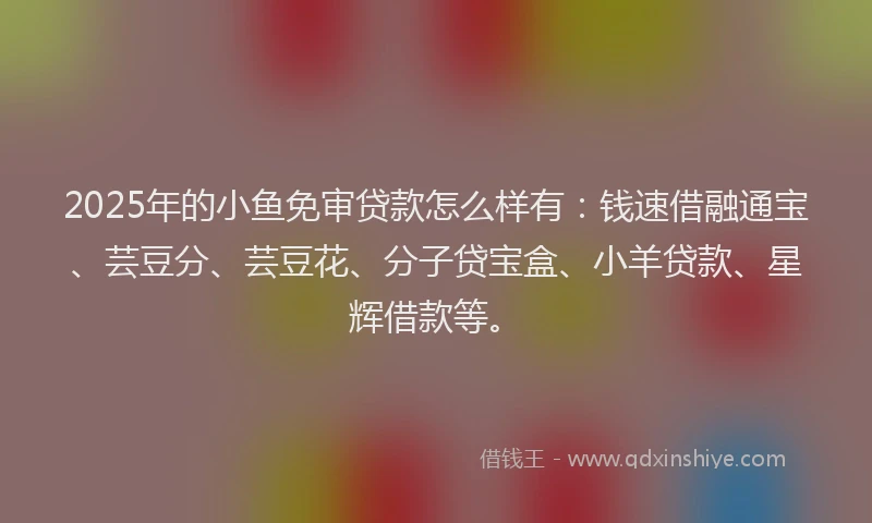 2025年的小鱼免审贷款怎么样有：钱速借融通宝、芸豆分、芸豆花、分子贷宝盒、小羊贷款、星辉借款等。