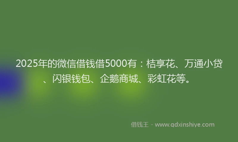 2025年的微信借钱借5000有：桔享花、万通小贷、闪银钱包、企鹅商城、彩虹花等。