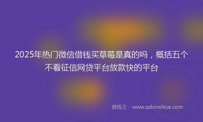 2025年热门微信借钱买草莓是真的吗，概括五个不看征信网贷平台放款快的平台