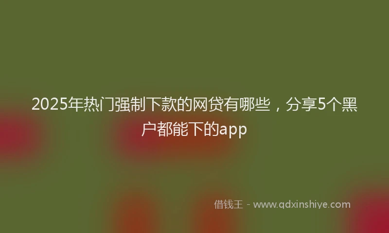 2025年热门强制下款的网贷有哪些,分享5个黑户都能下的app