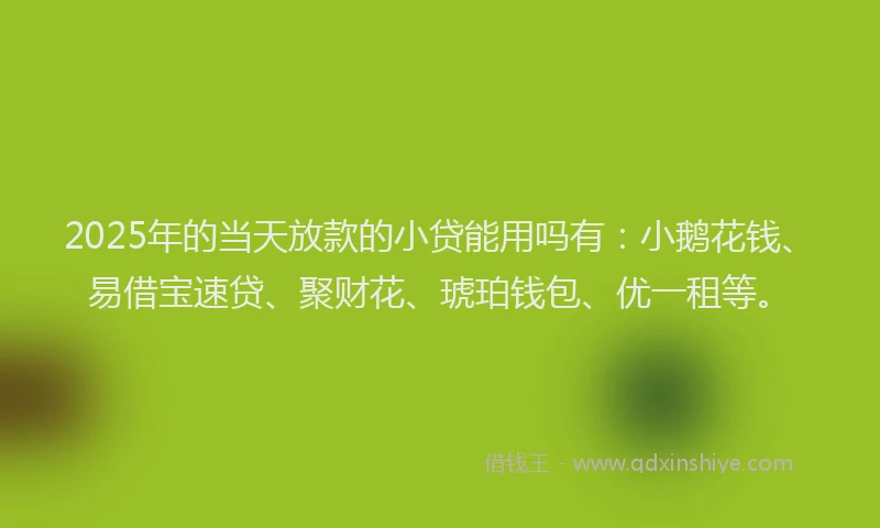 2025年的当天放款的小贷能用吗有：小鹅花钱、易借宝速贷、聚财花、琥珀钱包、优一租等。