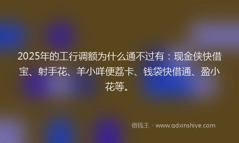 2025年的工行调额为什么通不过有：现金侠快借宝、射手花、羊小咩便荔卡、钱袋快借通、盈小花等。