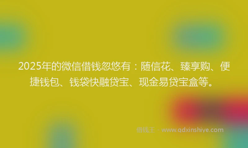 2025年的微信借钱忽悠有：随信花、臻享购、便捷钱包、钱袋快融贷宝、现金易贷宝盒等。