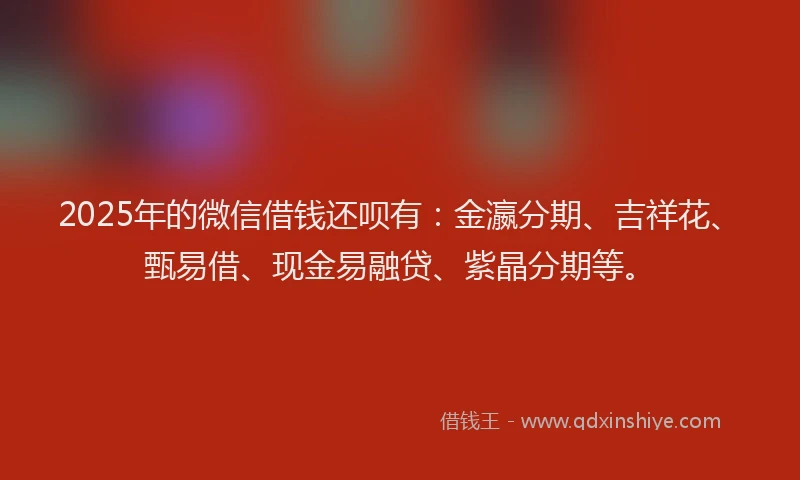 2025年的微信借钱还呗有：金瀛分期、吉祥花、甄易借、现金易融贷、紫晶分期等。