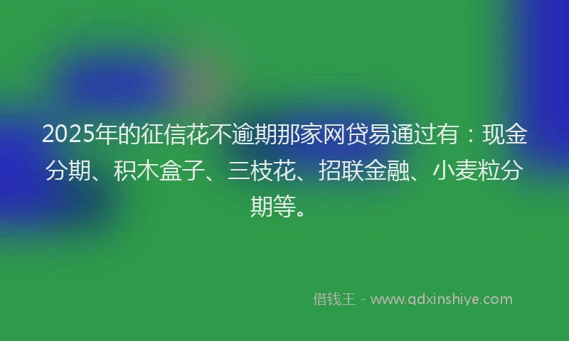 2025年的征信花不逾期那家网贷易通过有：现金分期、积木盒子、三枝花、招联金融、小麦粒分期等。