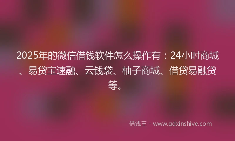 2025年的微信借钱软件怎么操作有：24小时商城、易贷宝速融、云钱袋、柚子商城、借贷易融贷等。
