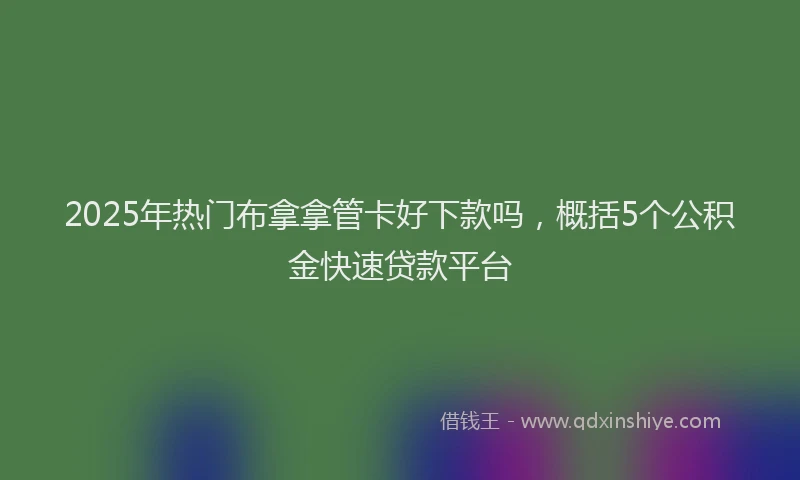 2025年热门布拿拿管卡好下款吗，概括5个公积金快速贷款平台