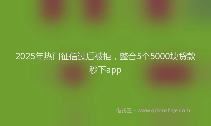 2025年热门征信过后被拒，整合5个5000块贷款秒下app