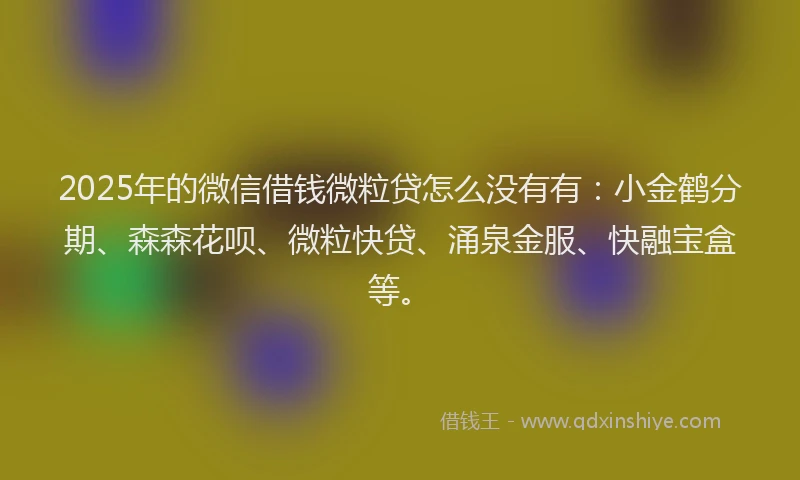 2025年的微信借钱微粒贷怎么没有有：小金鹤分期、森森花呗、微粒快贷、涌泉金服、快融宝盒等。