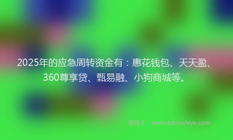 2025年的应急周转资金有：惠花钱包、天天盈、360尊享贷、甄易融、小狗商城等。