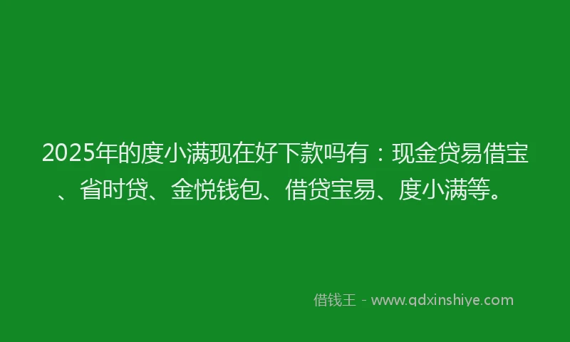 2025年的度小满现在好下款吗有：现金贷易借宝、省时贷、金悦钱包、借贷宝易、度小满等。
