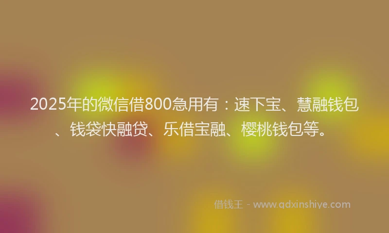 2025年的微信借800急用有：速下宝、慧融钱包、钱袋快融贷、乐借宝融、樱桃钱包等。