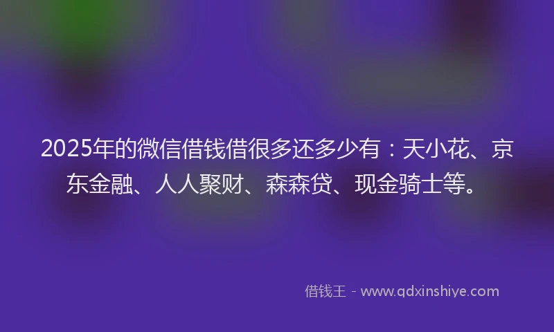 2025年的微信借钱借很多还多少有：天小花、京东金融、人人聚财、森森贷、现金骑士等。